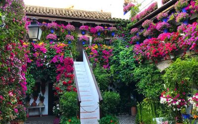 Disfruta de los patios de Córdoba fuera del concurso. Sin colas e igual de bonitos